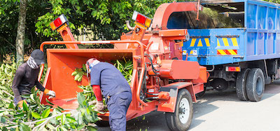 tree service in Durham